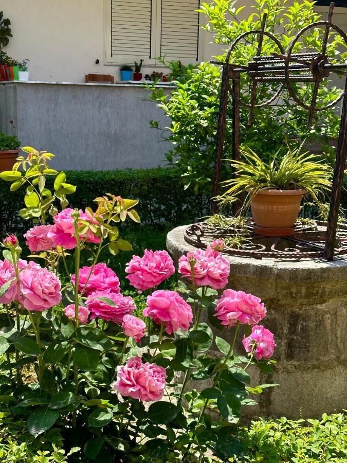 Js House Shkoder 1 Apartment Ngoại thất bức ảnh